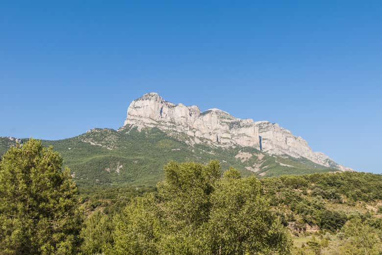 Une expérience inoubliable !