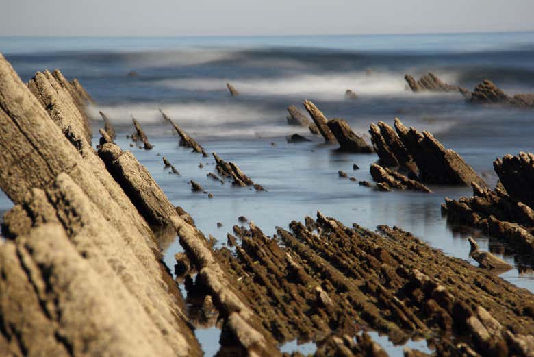 Flysch