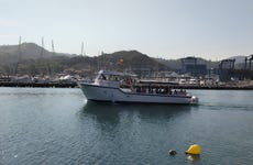 Paseo en barco por Zumaia, Getaria y Orio