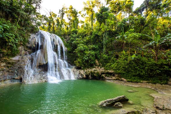 Gozalandia Waterfalls Day Trip