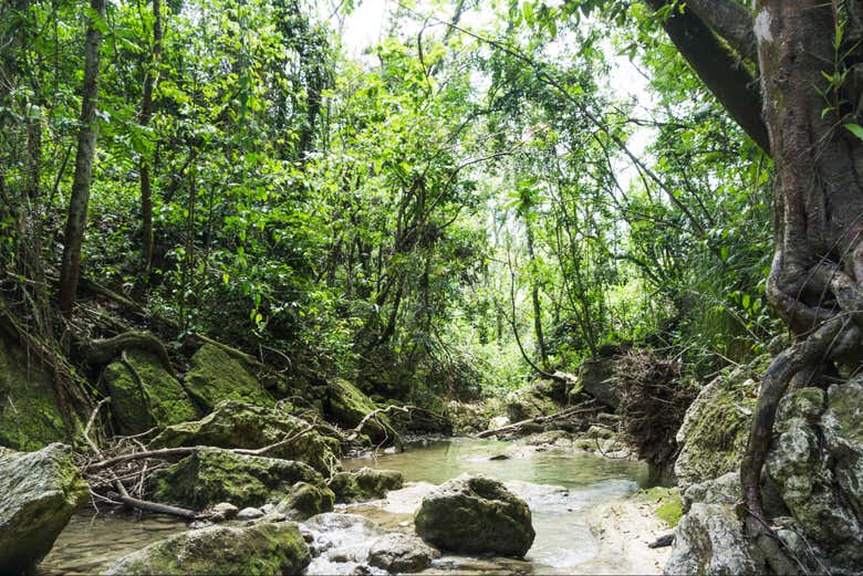 We'll traverse breathtaking natural landscapes