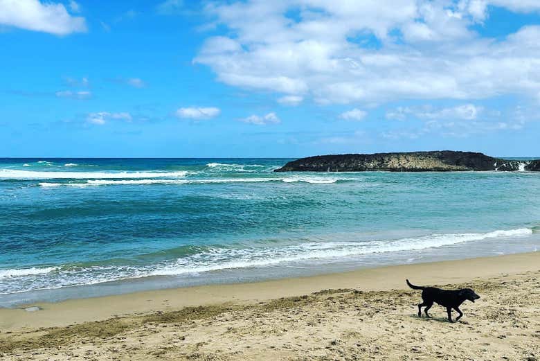 Enjoy beautiful tropical beaches