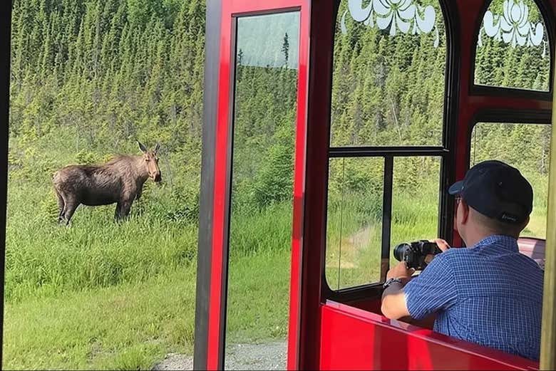 Descubriendo la naturaleza de Anchorage en trolley