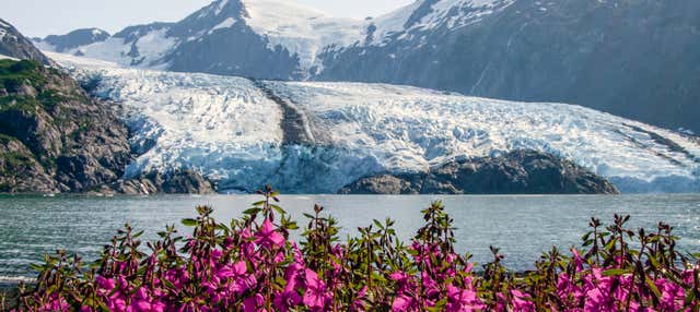 Glaciar Portage + Centro de Conservación de Vida Silvestre