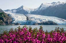 Glaciar Portage + Centro de Conservação da Vida Selvagem
