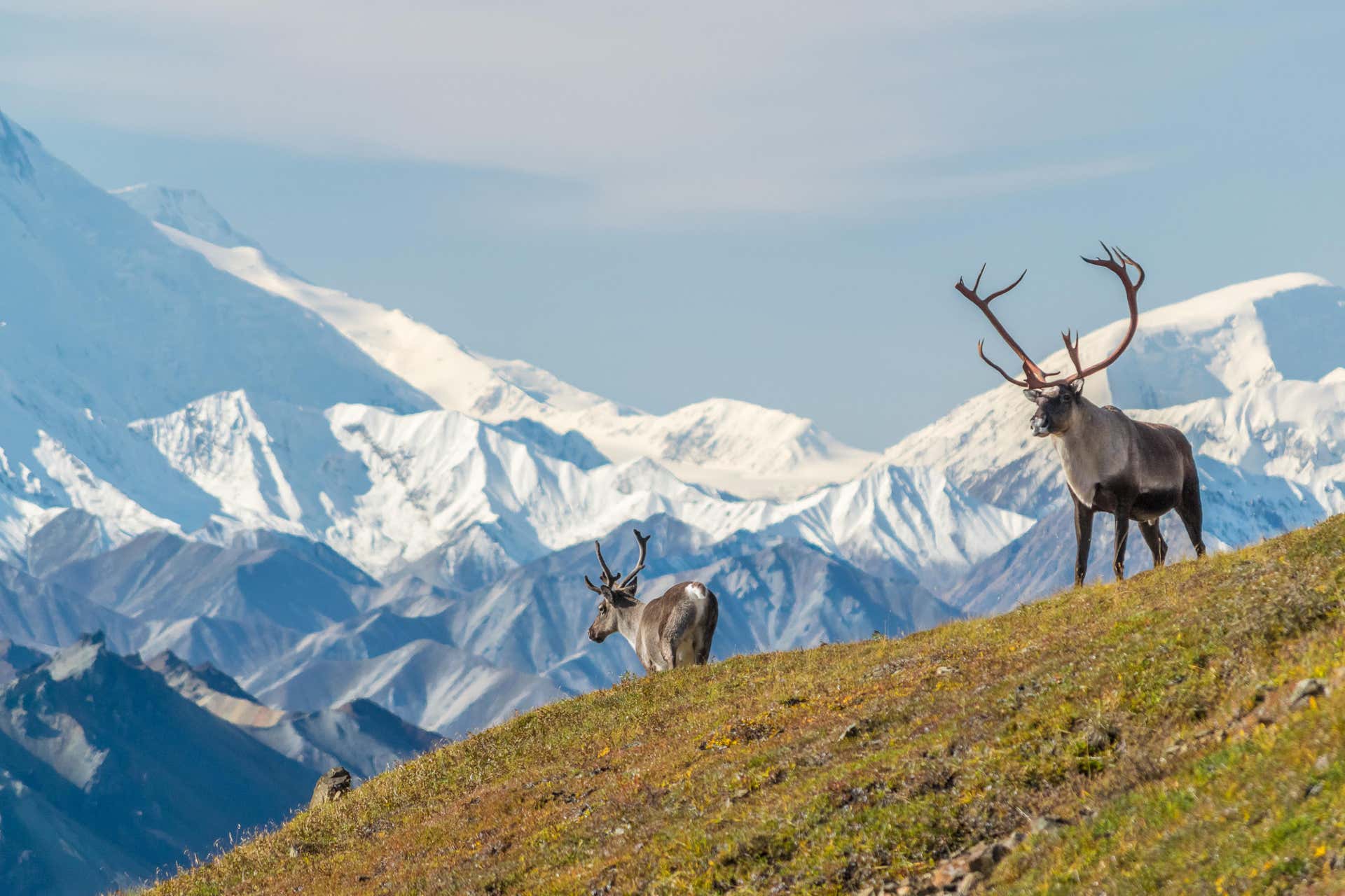 Tour de 13 días por Alaska