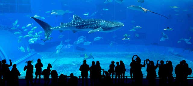 Entrada al Acuario de Georgia