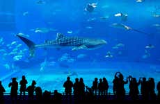 Georgia Aquarium Ticket