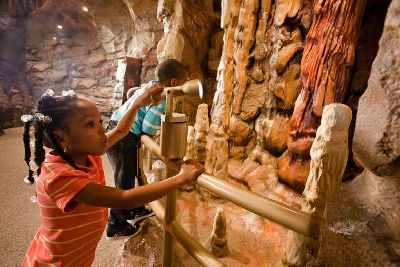 Fernbank Natural History Museum
