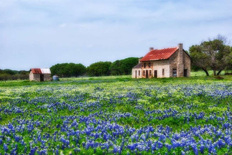 Maisons typiques de Texas Hill Country