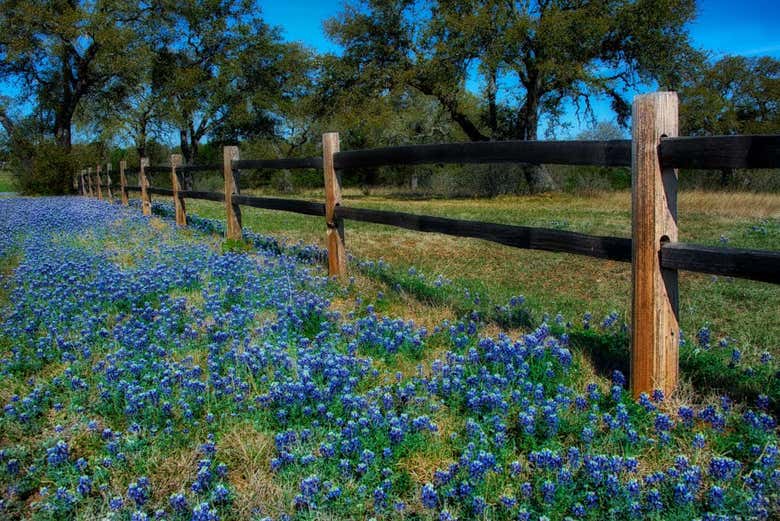 Texas Hill Country