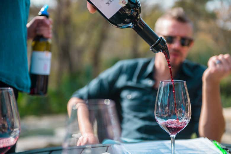 Desfrutando de uma degustação de vinhos