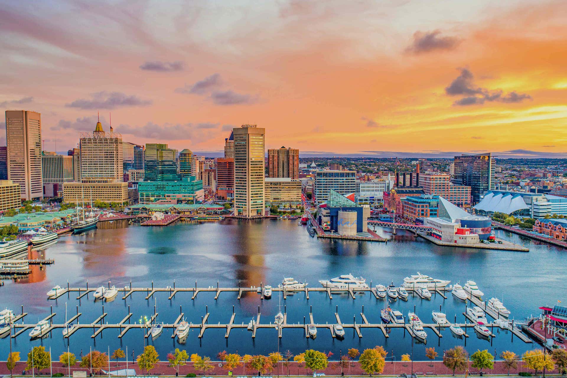 Baltimore Harbor Sightseeing Cruise Book Online at