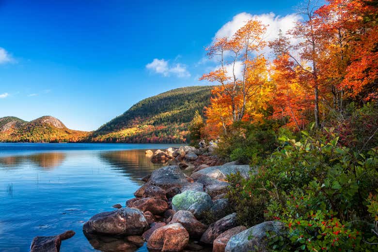 No os podéis perder la belleza del Parque Nacional Acadia
