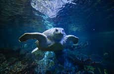 Entradas al New England Aquarium