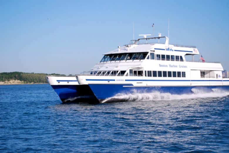 Bateau de l'activité