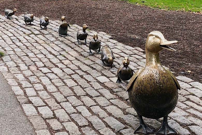 Discover little-known secrets about Boston
