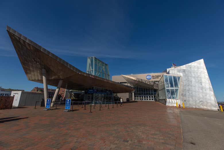 Reservad ya vuestra entrada al New England Aquarium