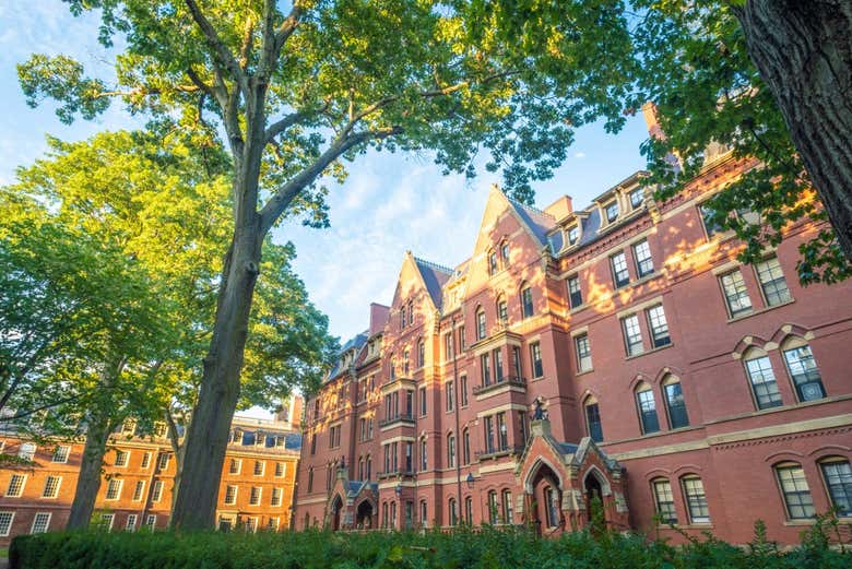 Universidad de Harvard