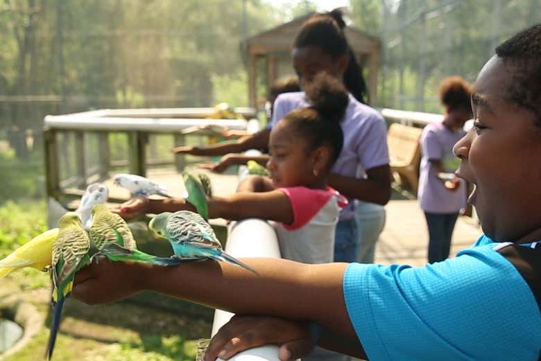 Franklin Park Zoo