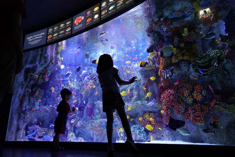 El lugar perfecto para visitar con niños