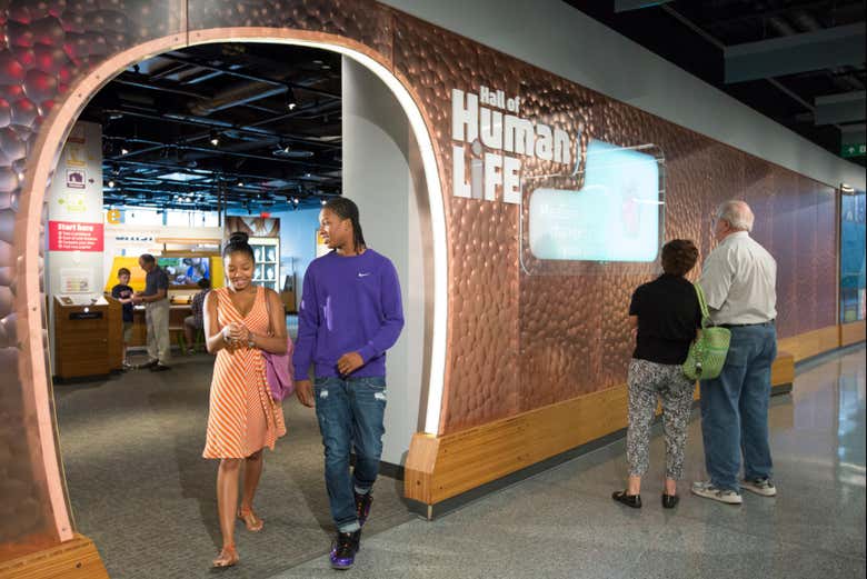 Visiting the Chicago Science Museum