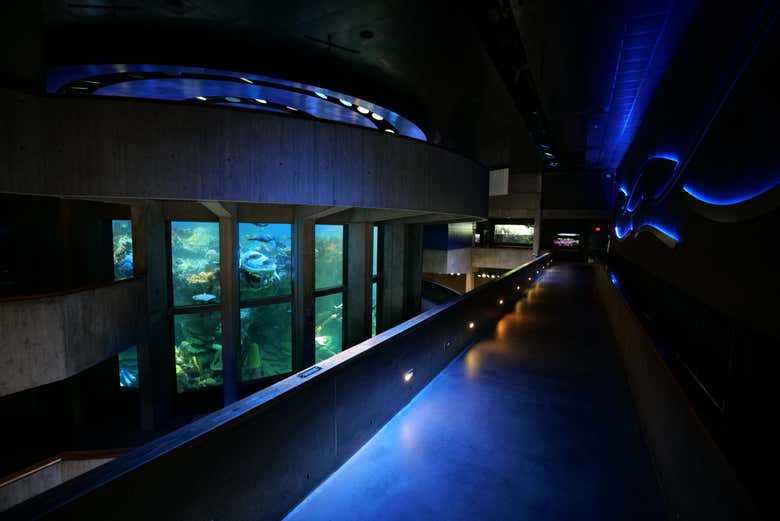 ¡No dejéis de visitar el New England Aquarium!