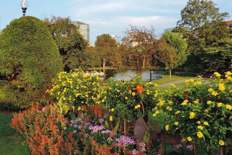 Densa vegetación en el jardín