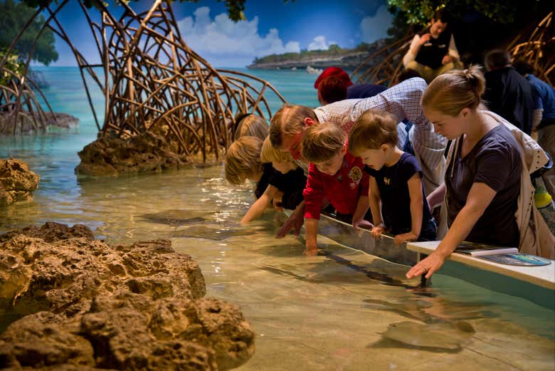 Visiting the New England Aquarium