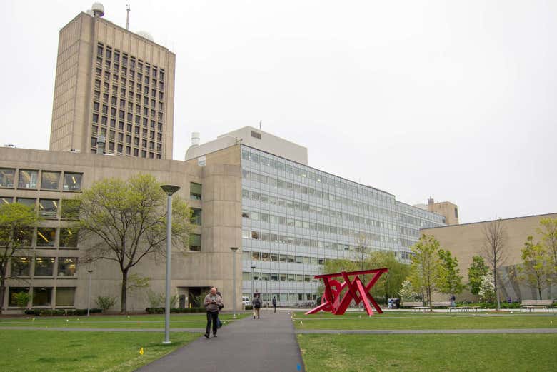 Views of the Green Building