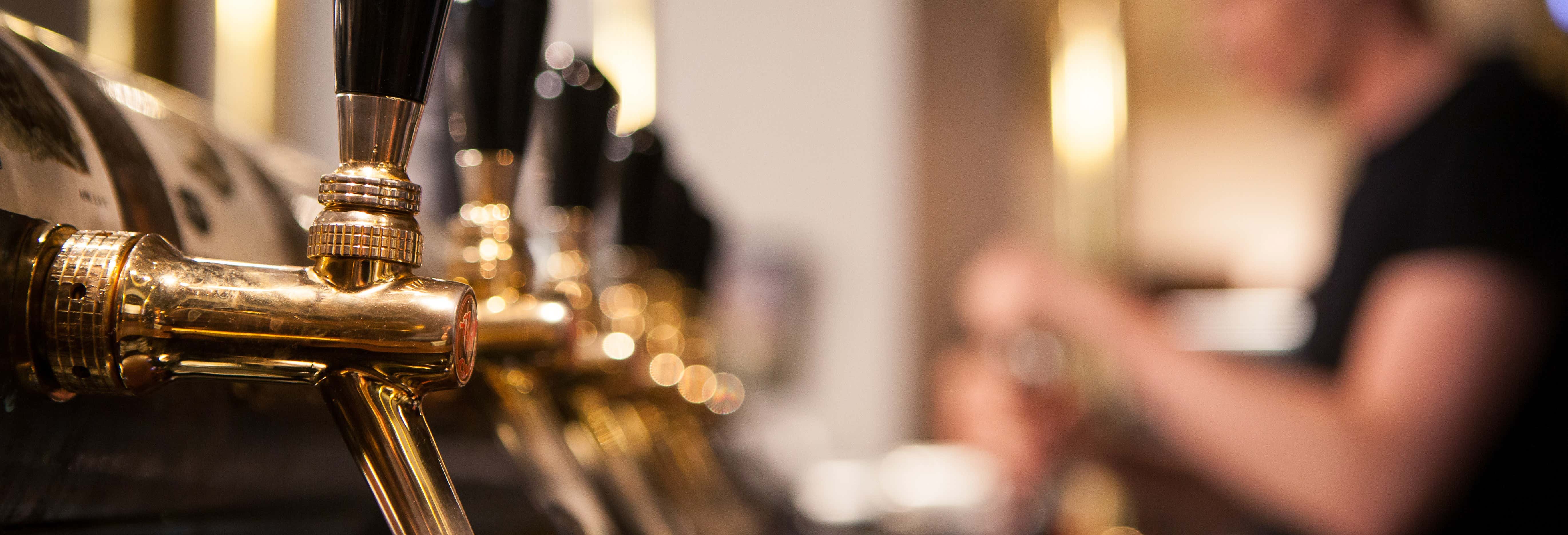 Guided tours and free tours in Boston