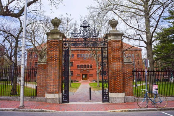 Visita guiada por Harvard