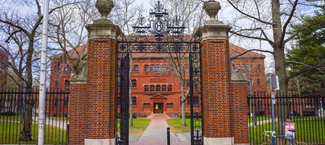 Visita guiada por Harvard