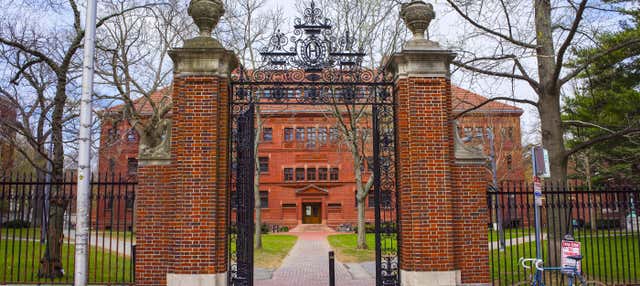 Visite guidée d'Harvard