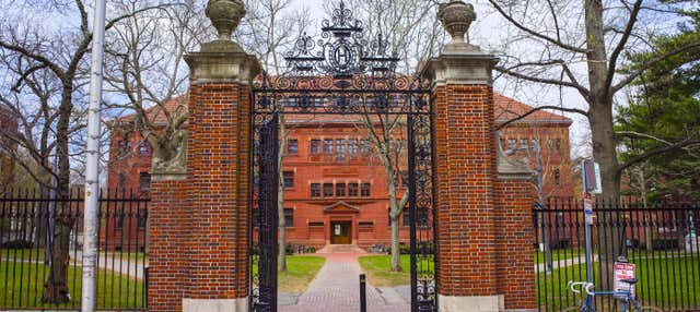 Visita guiada por Harvard