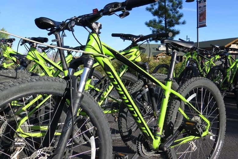 Vélos de location