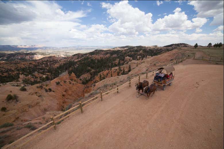Vues aériennes sur la calèche à Bryce Canyon