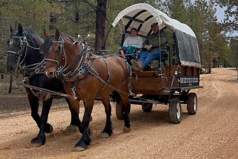 Voyagez en calèche