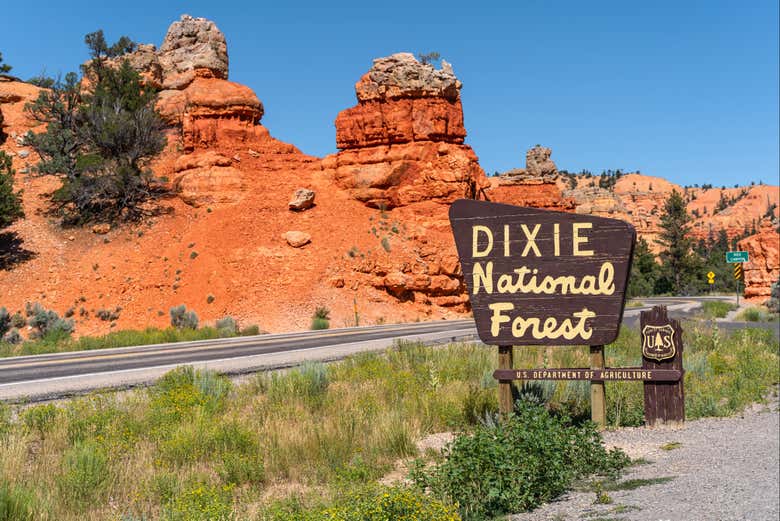 Dixie National Forest
