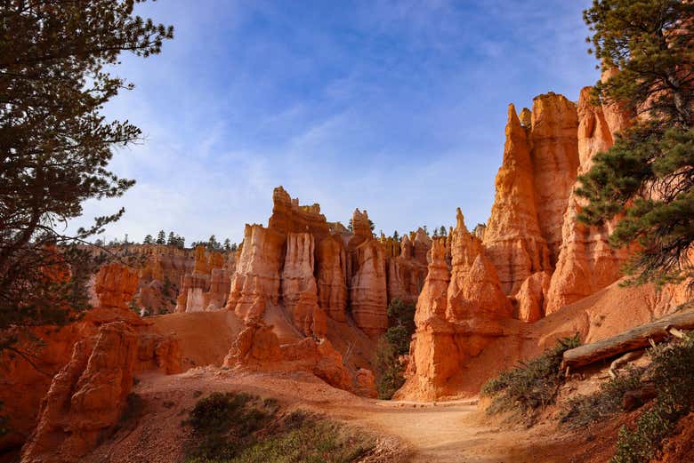 Autumn scenery in Bryce Canyon National Park