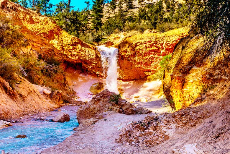 Vous explorerez les paysages naturels de Bryce Canyon