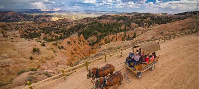 Balade en calèche à Bryce Canyon