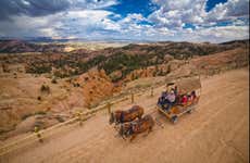 Balade en calèche à Bryce Canyon