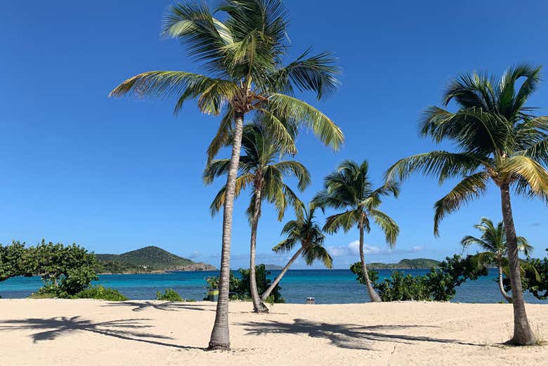 Sapphire Beach