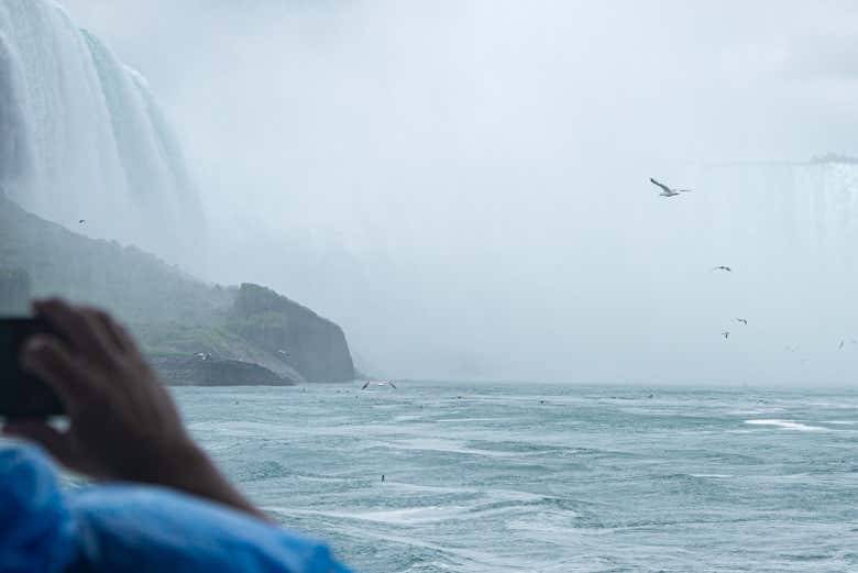 Visite des chutes du Niagara
