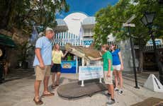 Key West Aquarium Ticket