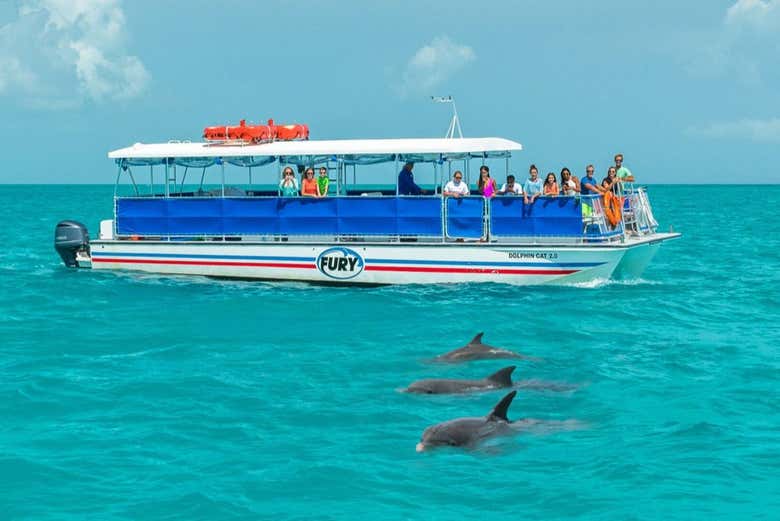 Avistamento de golfinhos em Key West