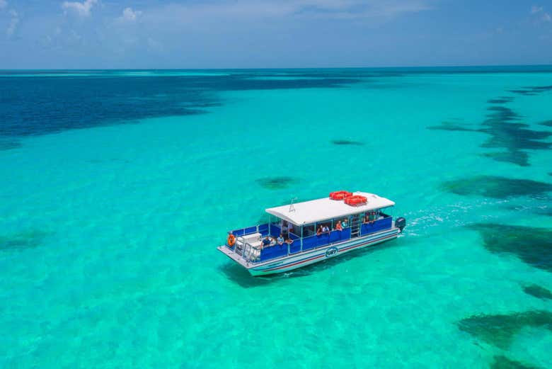 Passeio de barco com avistamento de golfinhos