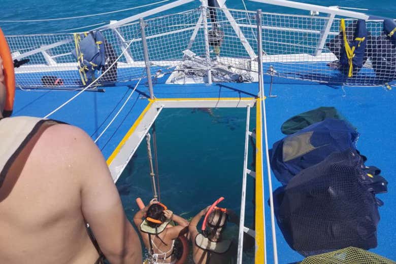 La barca da cui ci si tuffa