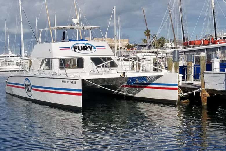 Il catamarano